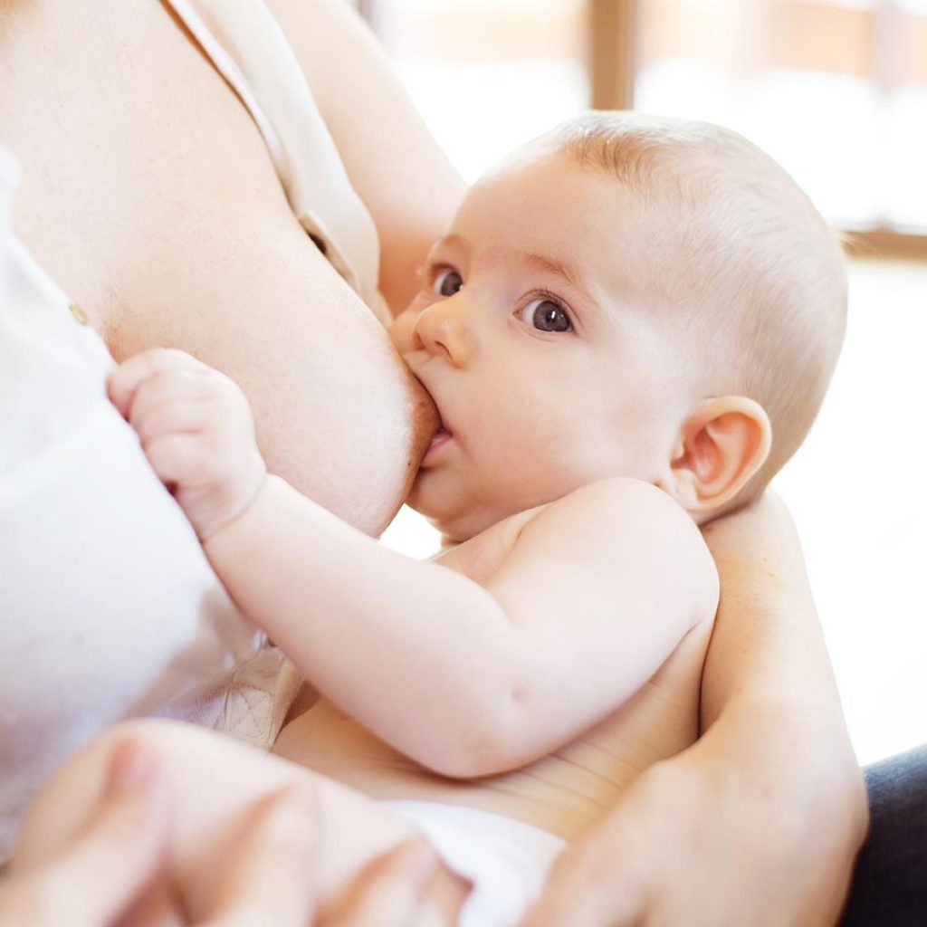 the fourth trimester