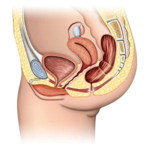 urinary incontinence and vaginal prolapse