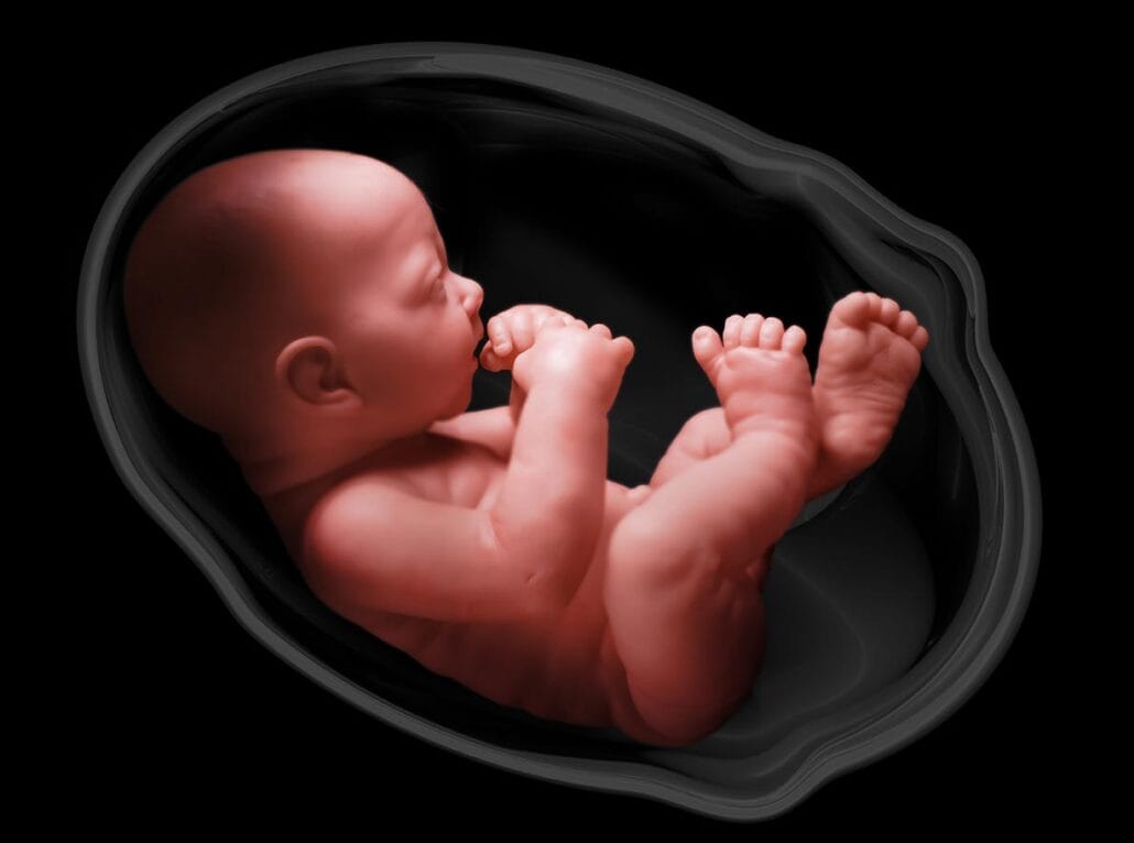 Making an ivf baby