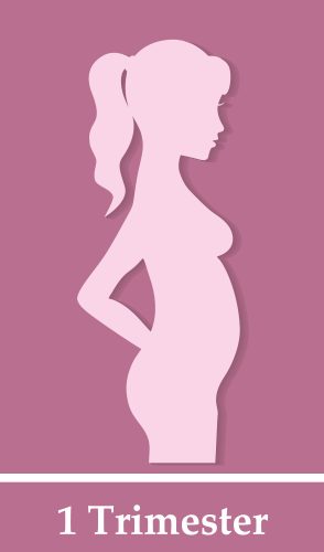 What to Expect in Your First Trimester