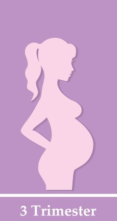 What to Expect in Your Third Trimester