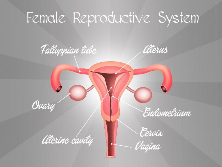 Colposcopy for examining the cervix - the neck of the womb